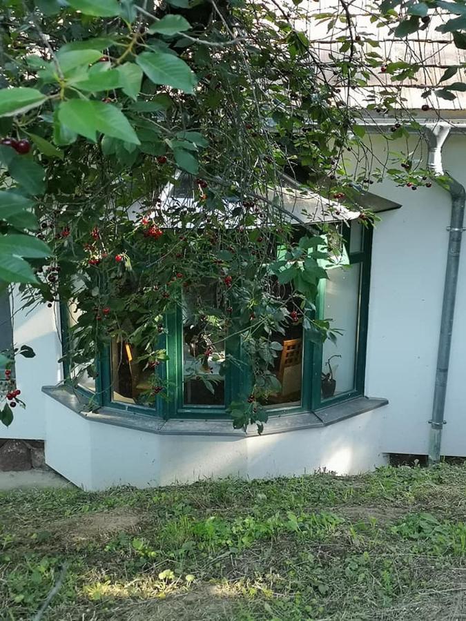 Nyugalomsziget Villa Kotcse Luaran gambar