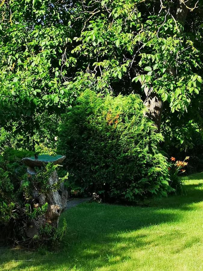 Nyugalomsziget Villa Kotcse Luaran gambar