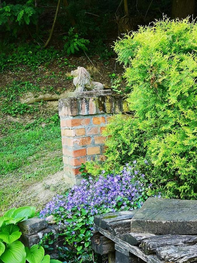 Nyugalomsziget Villa Kotcse Luaran gambar