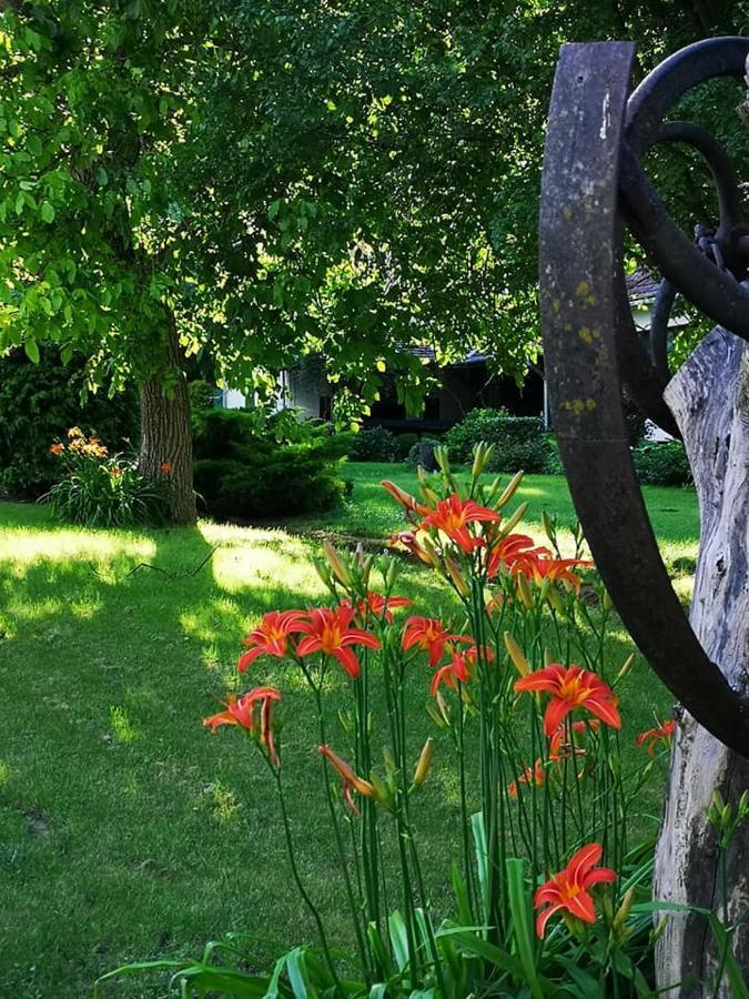 Nyugalomsziget Villa Kotcse Luaran gambar