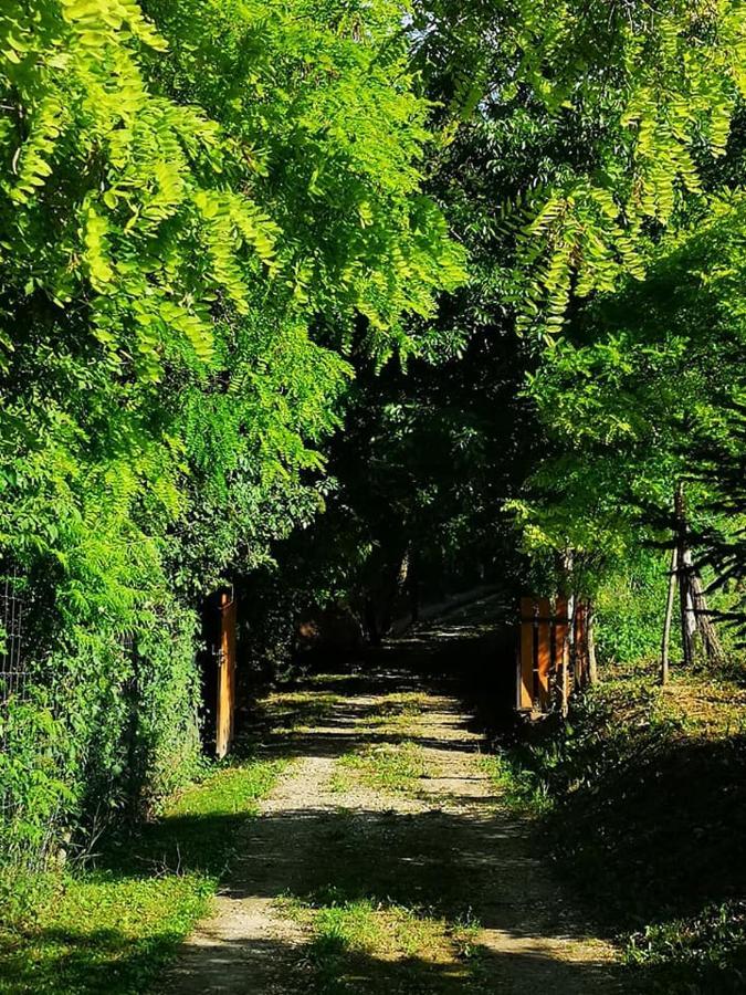 Nyugalomsziget Villa Kotcse Luaran gambar
