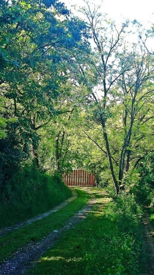 Nyugalomsziget Villa Kotcse Luaran gambar